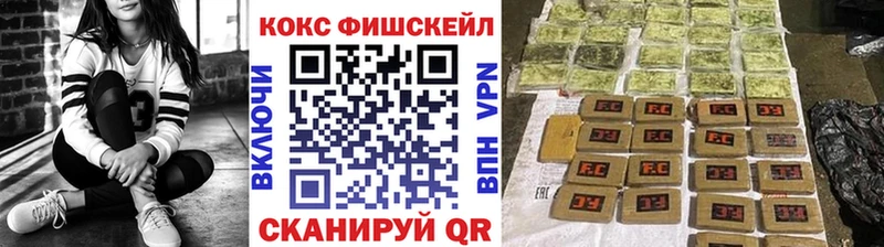 ссылка на мегу сайт Цоци-Юрт Cocaine Эквадор