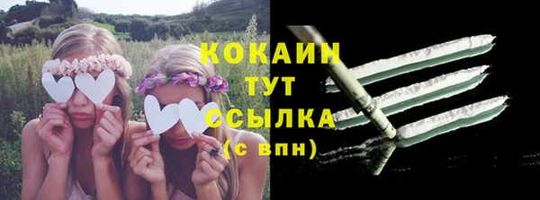 тгк Бронницы