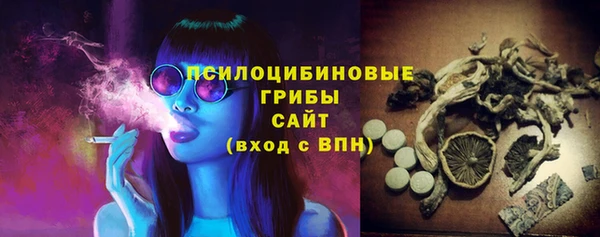 ПСИЛОЦИБИНОВЫЕ ГРИБЫ Бугульма